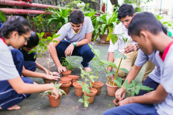 Activities Gardening